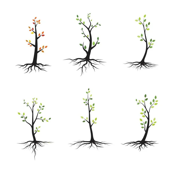 Árvore Ramo Vetor Ilustração Modelo Design — Vetor de Stock