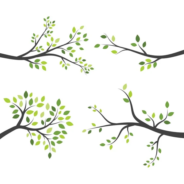 Árbol Rama Vector Ilustración Diseño Plantilla — Vector de stock