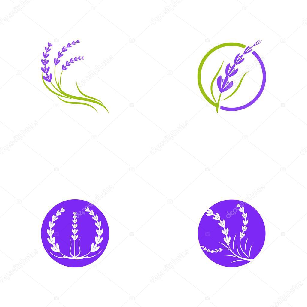 Lavender flower Vector icon illustration design Template