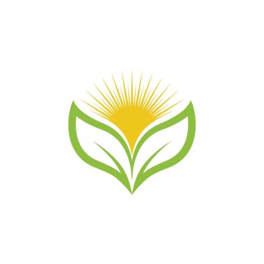 Yeşil Ağaç Yaprağı ekolojisi doğa element tasarımı