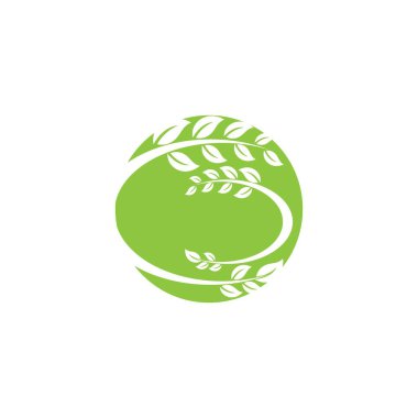 Yeşil Ağaç Yaprağı ekolojisi doğa element tasarımı