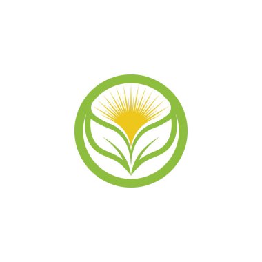 Yeşil Ağaç Yaprağı ekolojisi doğa element tasarımı