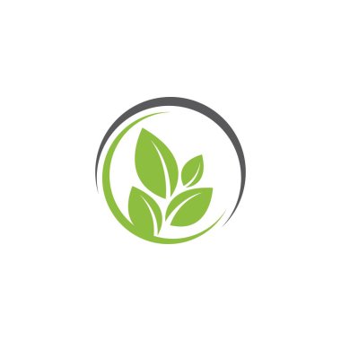 Yeşil Ağaç Yaprağı ekolojisi doğa element tasarımı