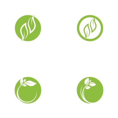 Yeşil Ağaç Yaprağı ekolojisi doğa element tasarımı