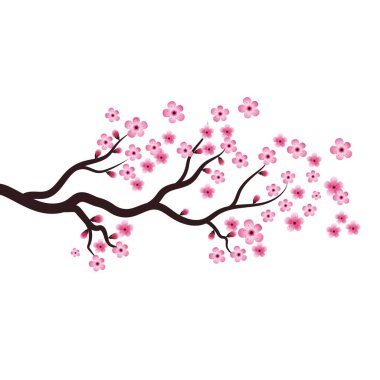 Sakura Beauty flower Vector icon illustration design clipart