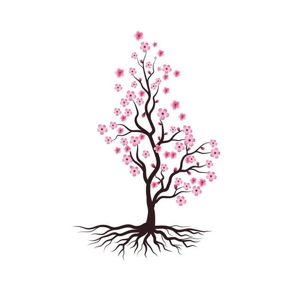 Sakura Beauty Flower Ícone Vetor Ilustração Design —  Vetores de Stock