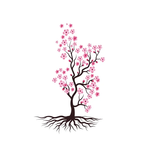 Sakura Beauty Flower Icona Vettoriale Illustrazione Design — Vettoriale Stock