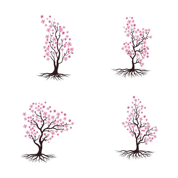 Sakura Beauty Flower Ícone Vetor Ilustração Design — Vetor de Stock