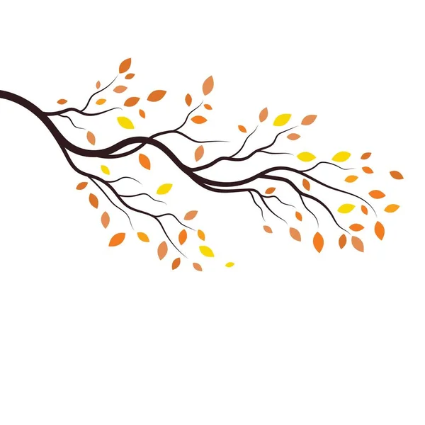 Tree Branch Vector Ilustration Design Template — Stock Vector