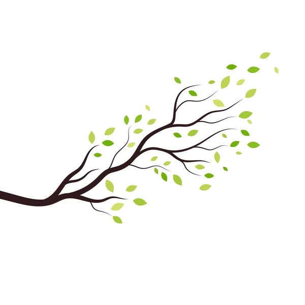 Árbol Rama Vector Ilustración Diseño Plantilla — Vector de stock