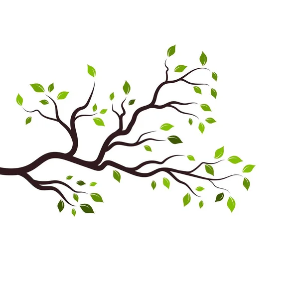 Πρότυπο Σχεδιασμού Εξομάλυνσης Διανύσματος Κλαδιών Δέντρων — Διανυσματικό Αρχείο