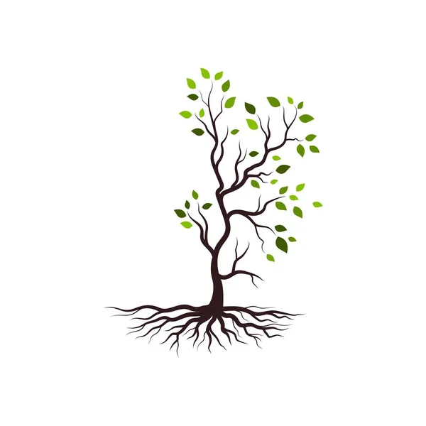 Árvore Ramo Vetor Ilustração Modelo Design —  Vetores de Stock