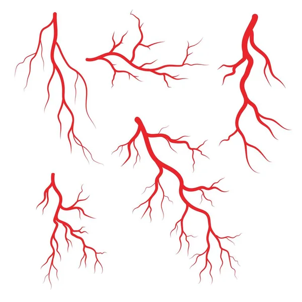 Vene Arterie Umane Illustrazione Modello Progettazione — Vettoriale Stock