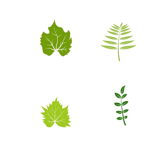 Verde Árvore Folha Ecologia Natureza Elemento Vetor Design — Vetor de Stock