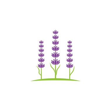 Lavanta çiçeği vektörü simge tasarım şablonu
