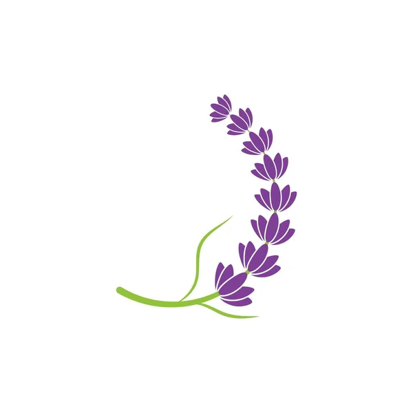 Lavanda Flor Ícone Vetor Ilustração Design Modelo —  Vetores de Stock