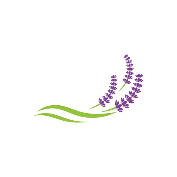 Lavendel Blume Vektor Ikone Illustration Design Vorlage — Stockvektor