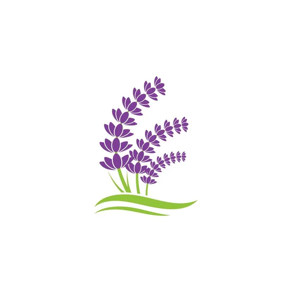 Lavanda Flor Ícone Vetor Ilustração Design Modelo —  Vetores de Stock