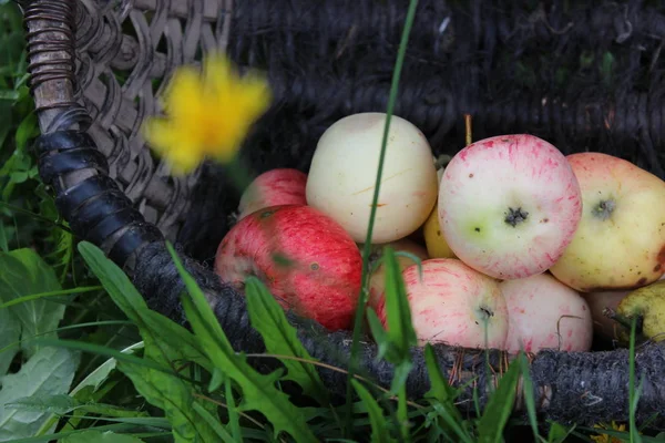 Apples Health Beauty — Stock Photo, Image