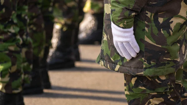 geçit töreni gününde beyaz eldiven koyarak askeri adam eller