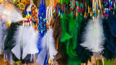 bir sınır şeklinde renkli tüyler 