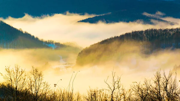 beautiful autumn hiking in berchtesgadener alps with fog in the