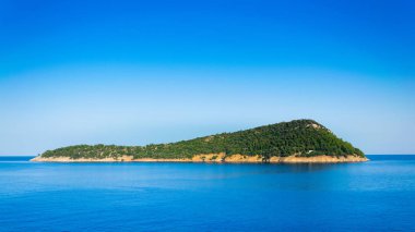 Mediterranea gelen yeşil ağaçlarla dolu bir adanın üst görünümü