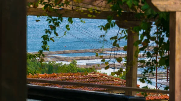 Vista superior de uma lagoa de lagosta com moldura de madeira — Fotografia de Stock