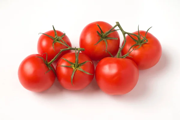 西红柿白色背景蔬菜 — 图库照片