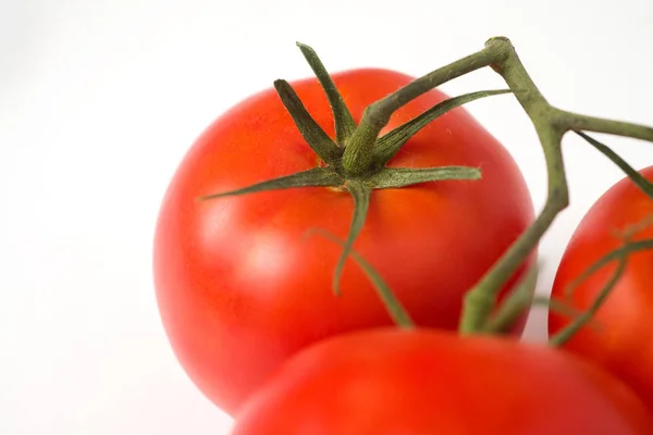 Tomate Fond Blanc Légume — Photo