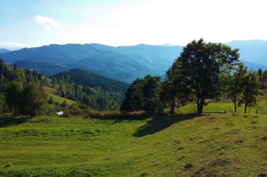 Karpat Ormanı, Ukrayna 'daki dağ manzarası, dağlar ve ormanlar