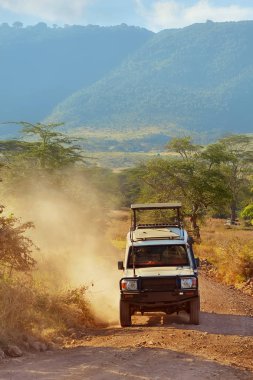 Safari araba Suv 4 x 4 üzerinde off-road savannah Ngorongoro koruma, Tanzanya kirli. Afrika rezerv manzara arka plan üzerine açık çatı 4wd safari cip. Afrika kırsal, dikey banner ortak otomatik                            