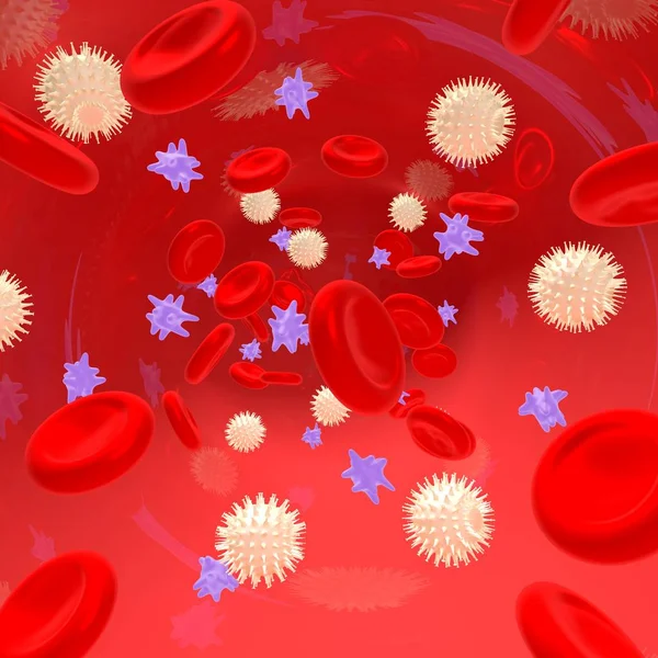 血液の構造 白血球 血小板 赤血球 ストック画像