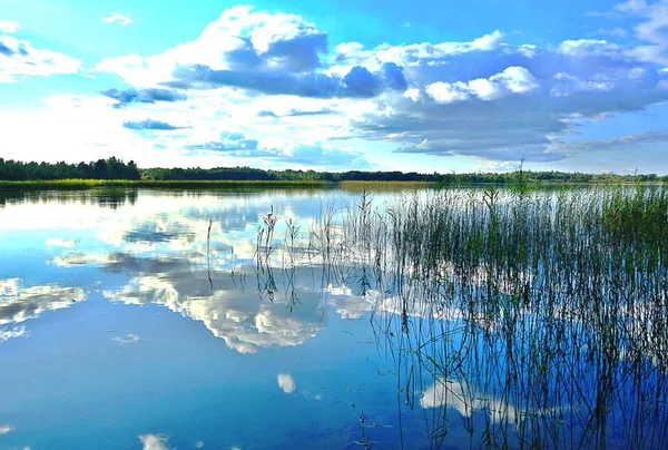 Jezioro Reflextions Niebo Chmury Drzewa Bank Letni Dzień — Zdjęcie stockowe