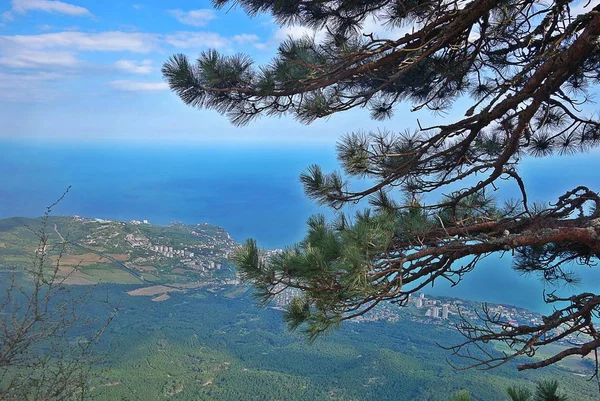 Dağ çam dalları ile denizden yaklaşık 1100 metre yükseklikte gözlem güvertesinden görünümü
