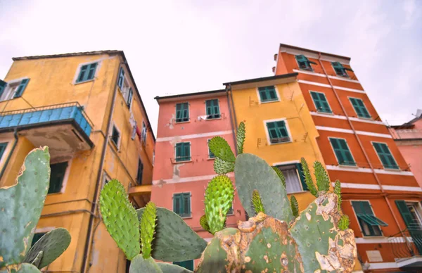 colorful old buildings and architecture in small town Lerici in Liguria, north Italy