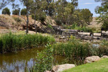 Pastoral Avustralya Açık doğal ortamda Avustralya okaliptüs ağaçları ve bushland çevrili büyük gölet ile.