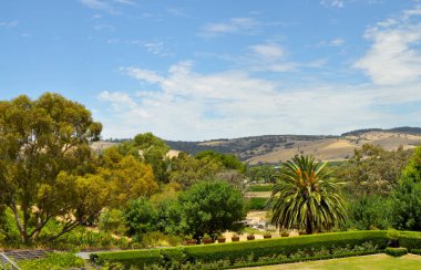 Chateau Tanunda, Güney Avustralya Avustralya'nın önde gelen şarap yapım bölgelerin Barossa Vadisi'nde tepelerde yeşil yaz görünümü