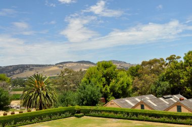 Chateau Tanunda, Güney Avustralya Avustralya'nın önde gelen şarap yapım bölgelerin Barossa Vadisi'nde tepelerde yeşil yaz görünümü