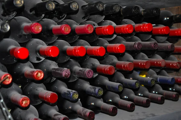 Display of very old, vintage, dusty wine bottles in an wine cellar at the Barossa Valley, South Australia. World famous wine making region.