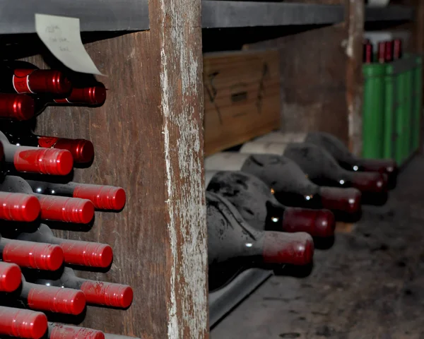 Esposizione Bottiglie Vino Molto Vecchie Vintage Polverose Una Cantina Nella — Foto Stock