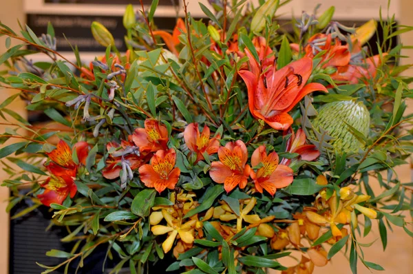 Bouquet of australian native flowers in wicker basket