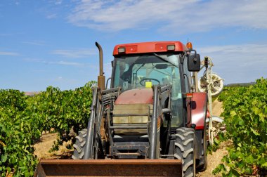 Barossa Valley, Güney Avustralya, Avustralya'nın önde gelen şarap yapım bölgelerinden biri yeşil bağ içinde kırmızı traktör.