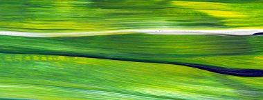 Soyut akrilik resim arka plan, doku, tasarım öğesi olarak kullanmak için. Modern sanat karışık renkler yeşil, mavi, sarı.