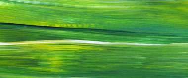 Soyut akrilik resim arka plan, doku, tasarım öğesi olarak kullanmak için. Modern sanat karışık renkler yeşil, mavi, sarı.