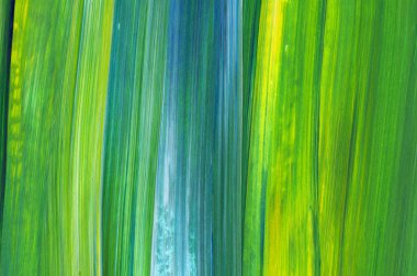 Soyut akrilik resim arka plan, doku, tasarım öğesi olarak kullanmak için. Modern sanat karışık renkler yeşil, mavi, sarı.