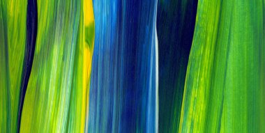 Soyut akrilik resim arka plan, doku, tasarım öğesi olarak kullanmak için. Modern sanat karışık renkler yeşil, mavi, sarı.