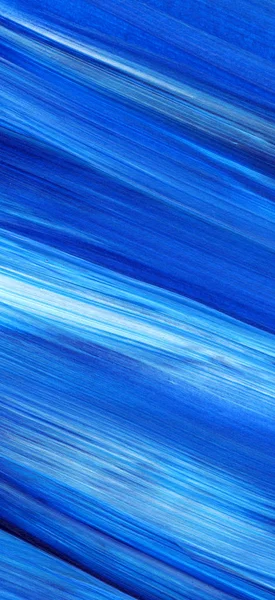 Mavi soyut akrilik resim arka plan, doku, tasarım öğesi olarak kullanmak için. Fırça kontur dokusu ile modern sanat