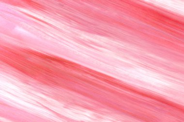 Pembe soyut akrilik resim arka plan, doku, tasarım öğesi olarak kullanmak için. Fırça kontur dokusu ile modern sanat