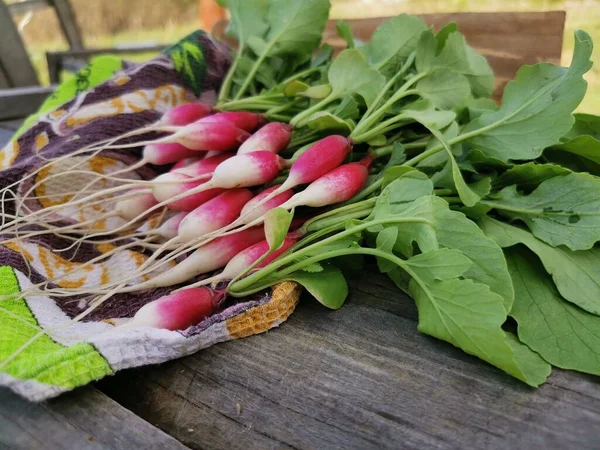 Ahşap arka planda taze turplar ve mutfak havlusu.